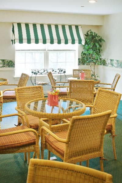A cozy indoor cafe with rattan furniture and a striped awning, bathed in natural light.