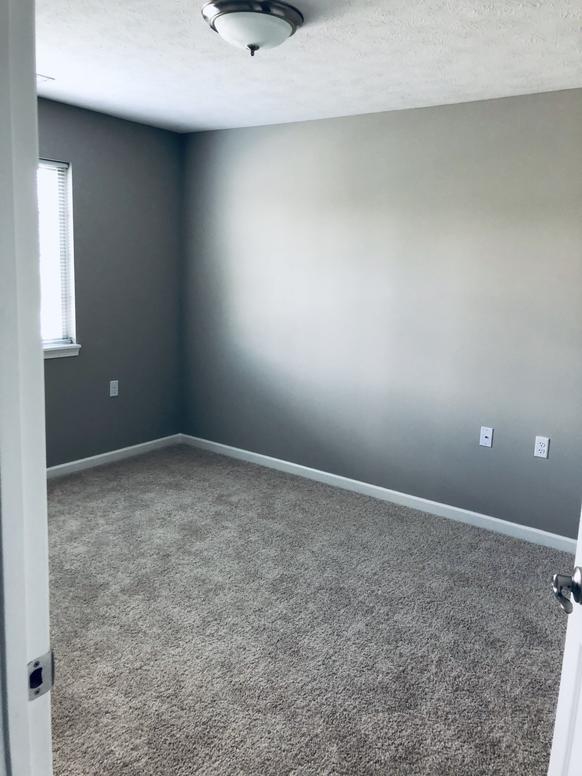 An empty room with gray walls and a carpeted floor, featuring a window.
