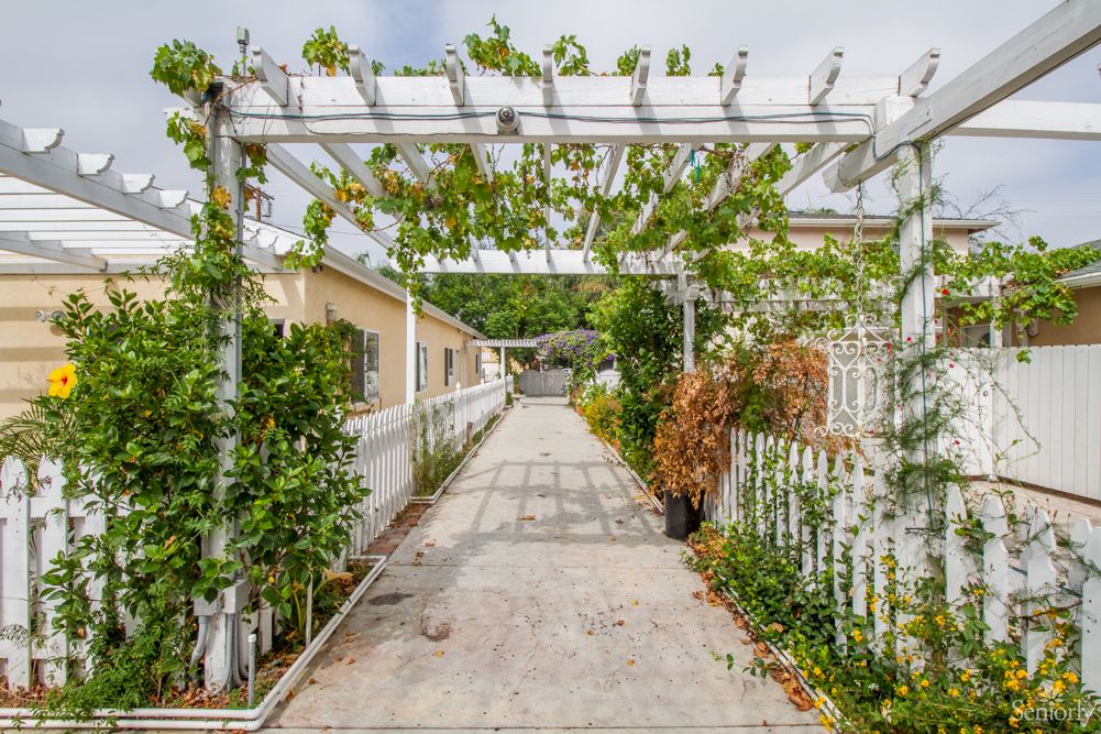 A garden pathway covered by a pergola with vines.