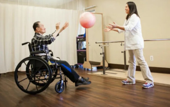 A therapist and a patient in a wheelchair engage in a physical therapy session with an exercise ball.