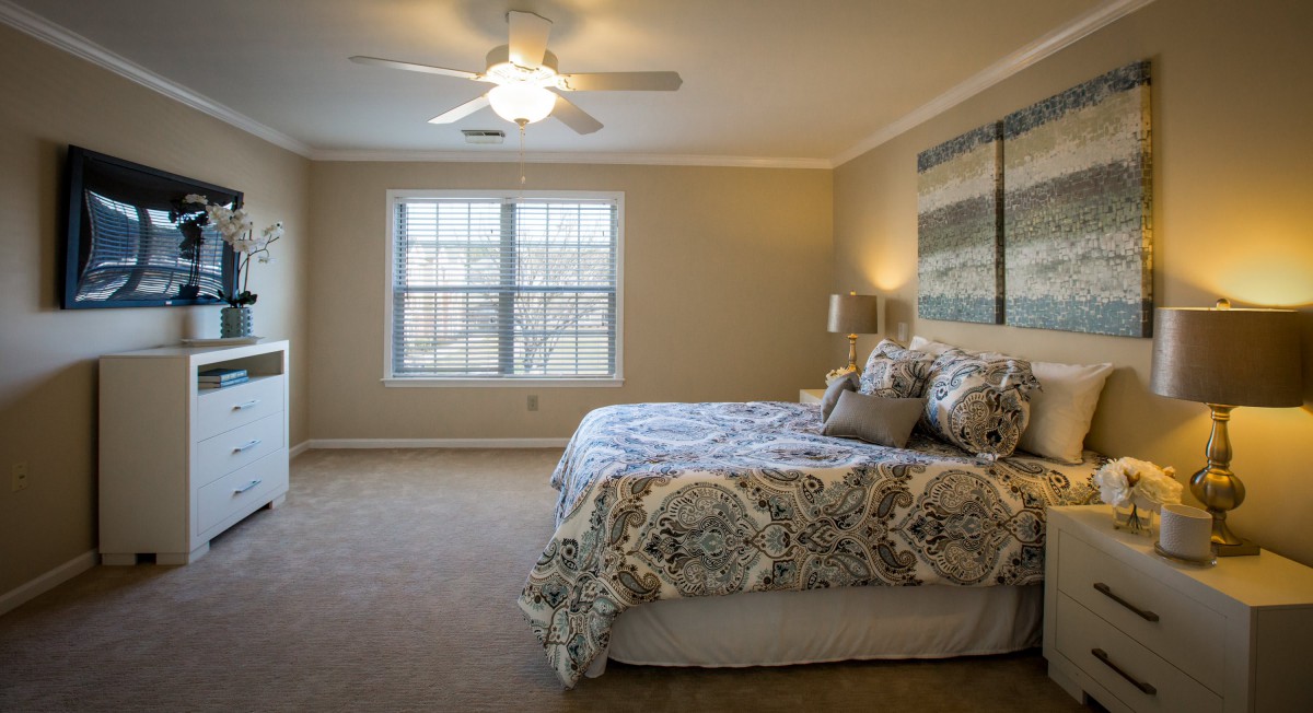 A cozy bedroom featuring a large bed, carpeted floor, and ample natural light from a window.