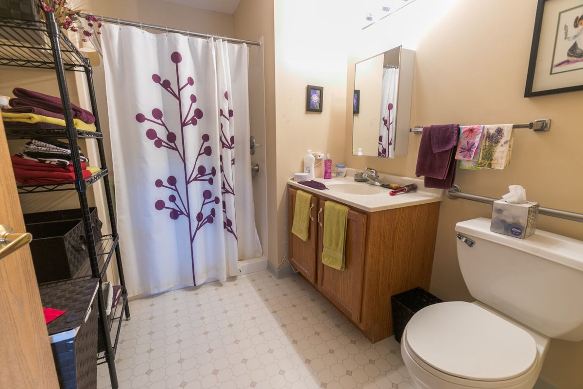 A tidy bathroom featuring a shower with a patterned curtain, sink with mirror, and decorative accents.