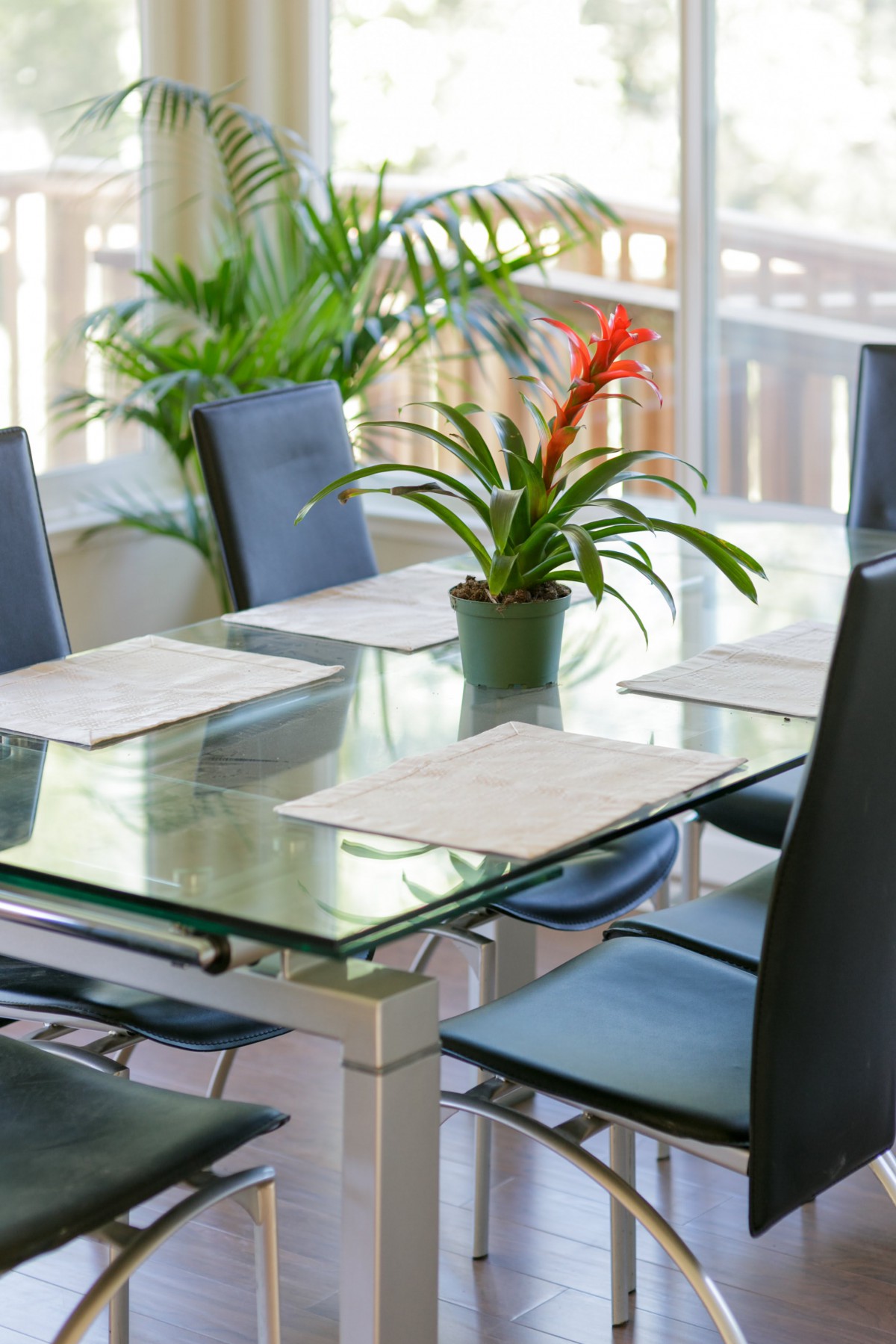 A modern dining room with a glass table and chairs, adorned with a plant centerpiece.