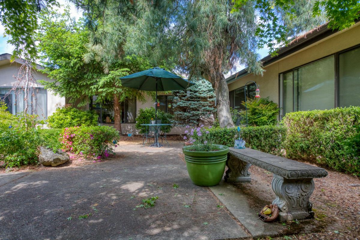 A serene garden patio with a large umbrella, surrounded by lush greenery and potted plants.