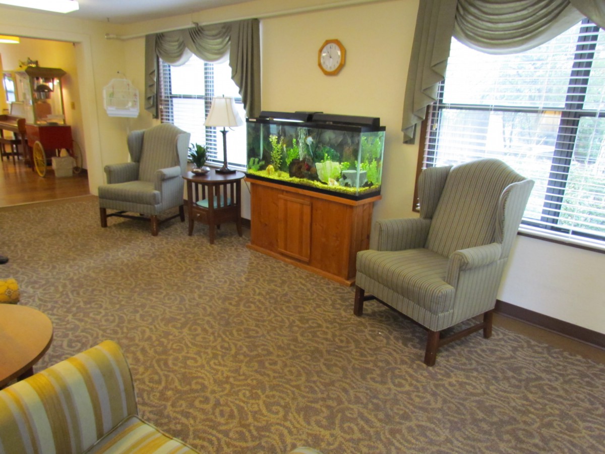 A cozy living room with armchairs, a large aquarium, and windows with curtains.