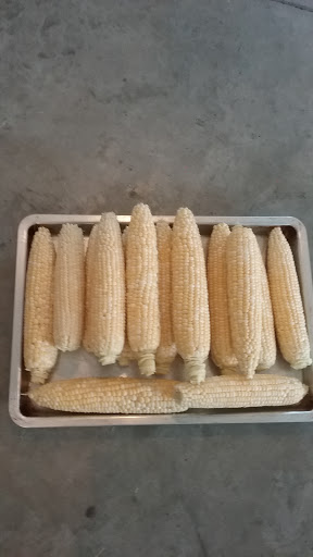 A tray of fresh, raw corn cobs ready for cooking.