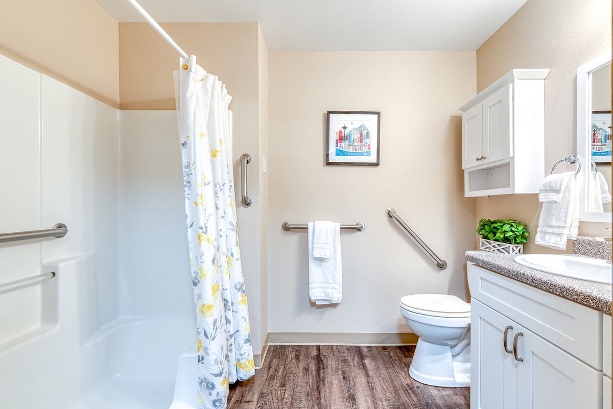 A clean and accessible bathroom with a shower, toilet, and safety features.