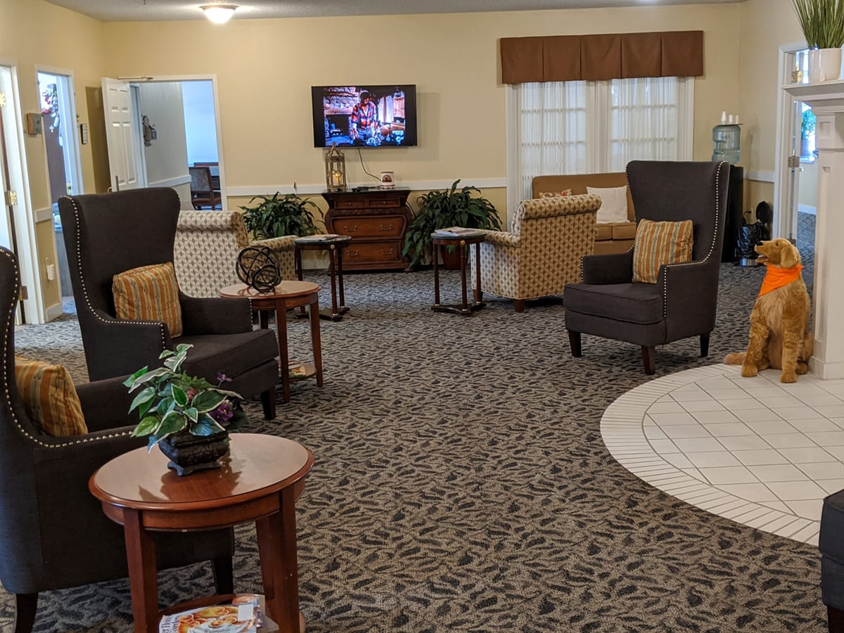 A cozy living room setup with comfortable chairs, a television, and indoor plants.