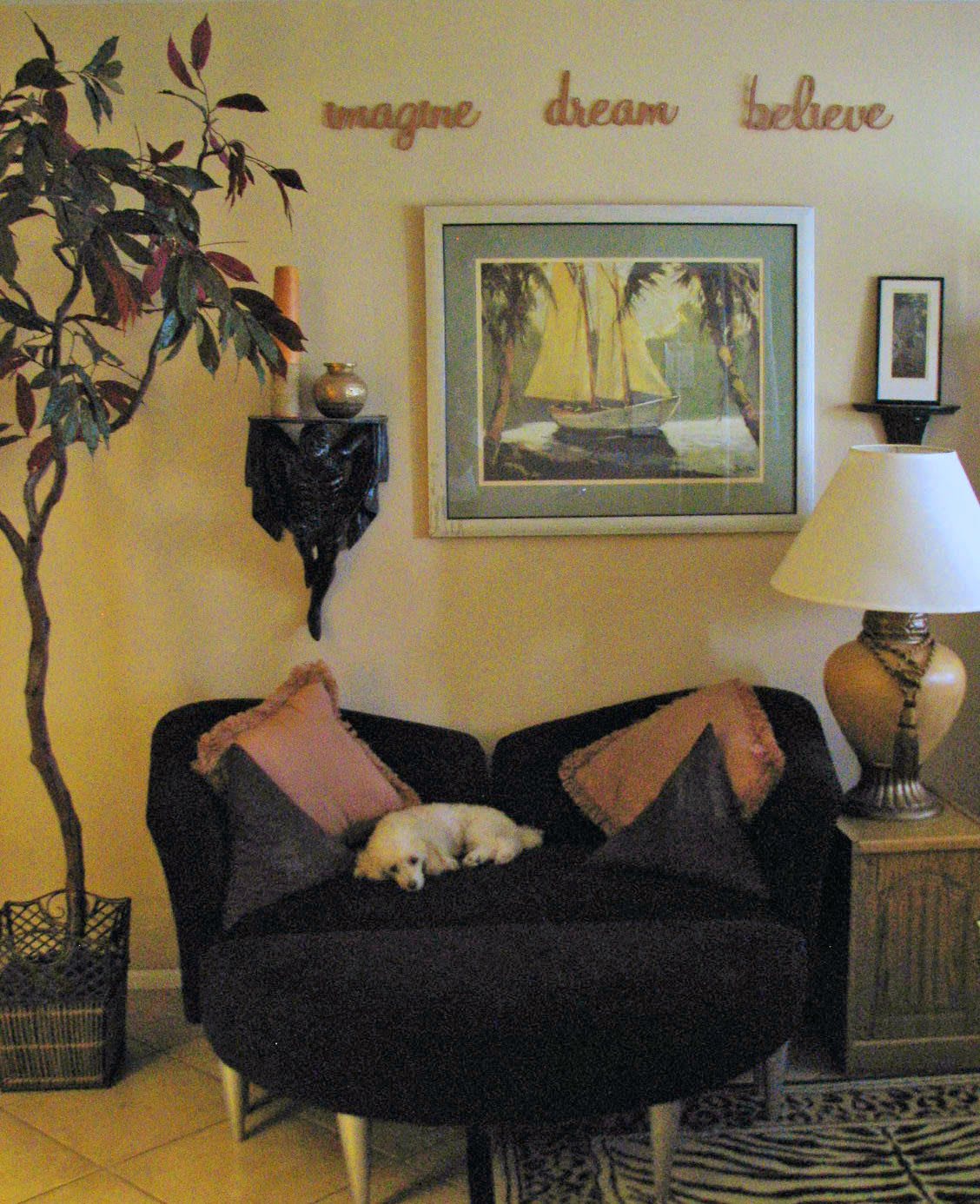 A cozy living room with a sleeping dog on the sofa, surrounded by decorative cushions, artwork on the wall, an indoor plant, and a lamp.