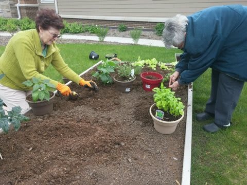An elderly couple working together in a raised garden bed, planting various plants and tending to the soil.