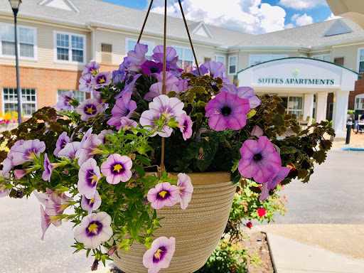A vibrant display of purple and white petunias in a hanging basket, adding charm to the outdoor space.