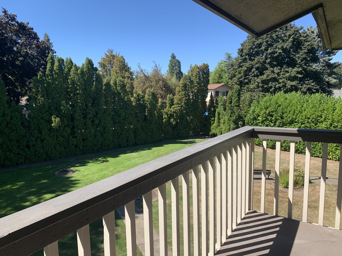 A sunny outdoor view from a balcony overlooking a grassy area bordered by tall trees.