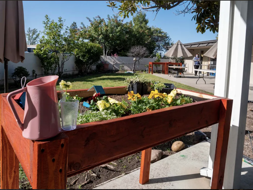 A vibrant garden full of vegetables during a sunny day, viewed from a cozy outdoor space.