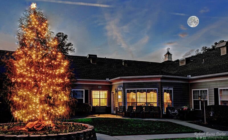 A warmly lit house with a Christmas tree adorned with lights in the front yard during the evening.