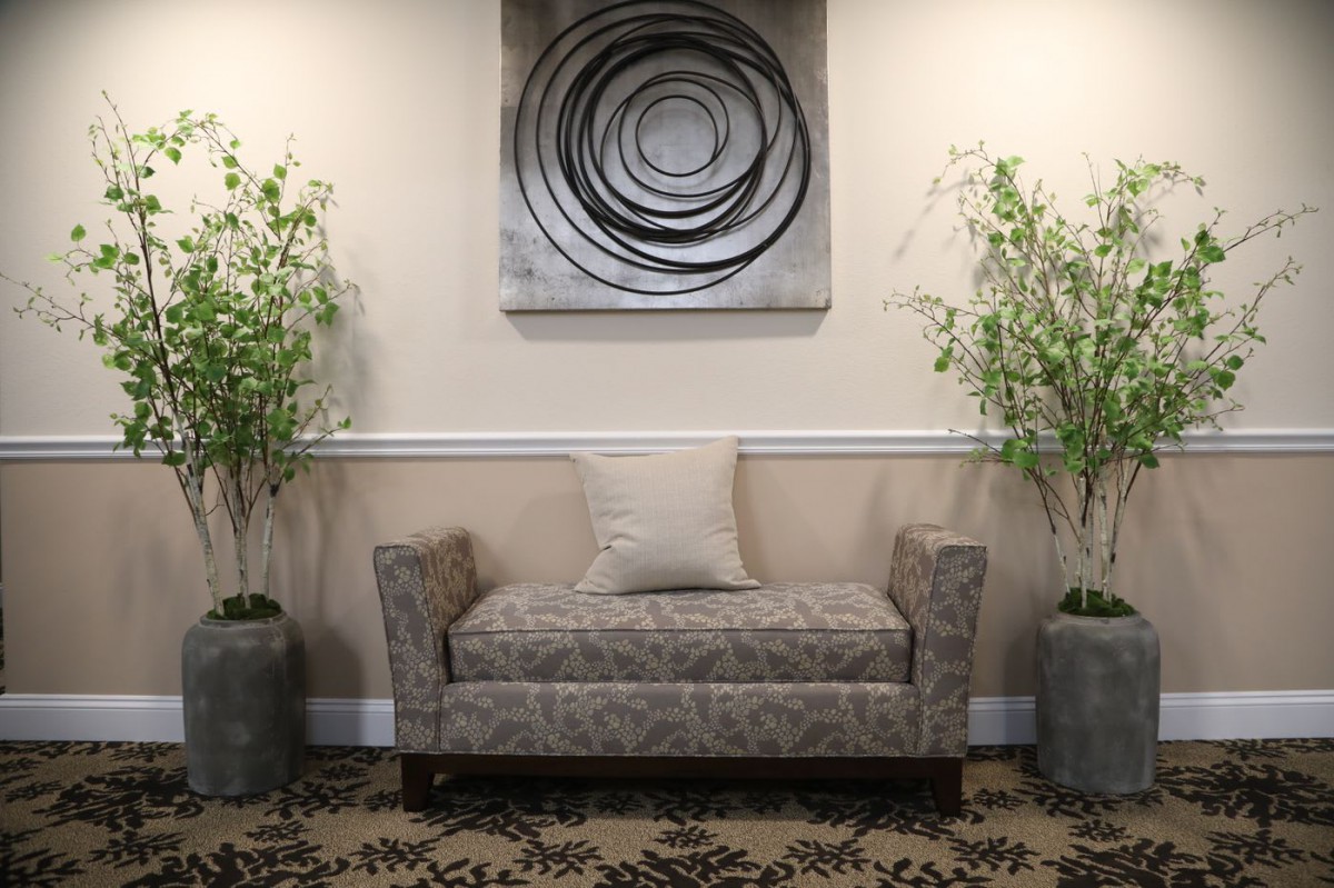 A modern waiting area with a stylish sofa, decorative plants, and abstract wall art.