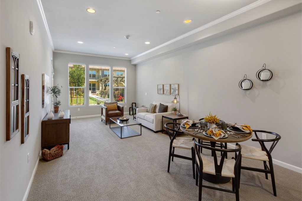 A spacious and modern living room with elegant furniture and a dining area, illuminated by natural light from large windows.