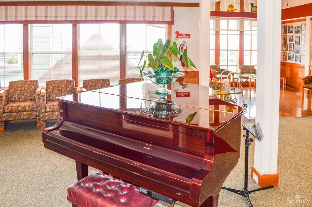 A grand piano in a bright living room with large windows and elegant decor.