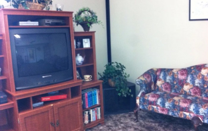 A cozy living room corner featuring an entertainment center with a TV, books, and decor, alongside a colorful armchair and houseplants.