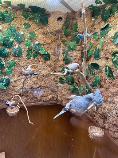 A serene scene of various birds perched on branches in a lush aviary.
