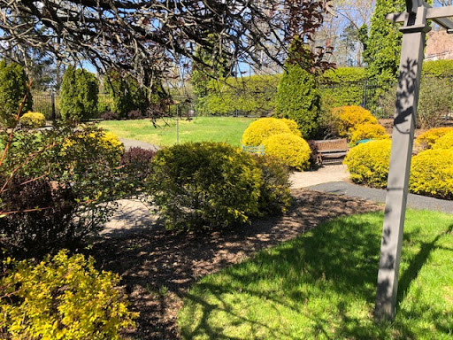 A serene view of a well-maintained garden showcasing vibrant bushes and a pathway.