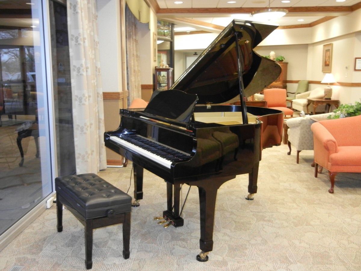 A grand piano with a matching bench in a cozy room setting.
