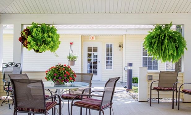 A cozy outdoor patio area with seating and vibrant plants.