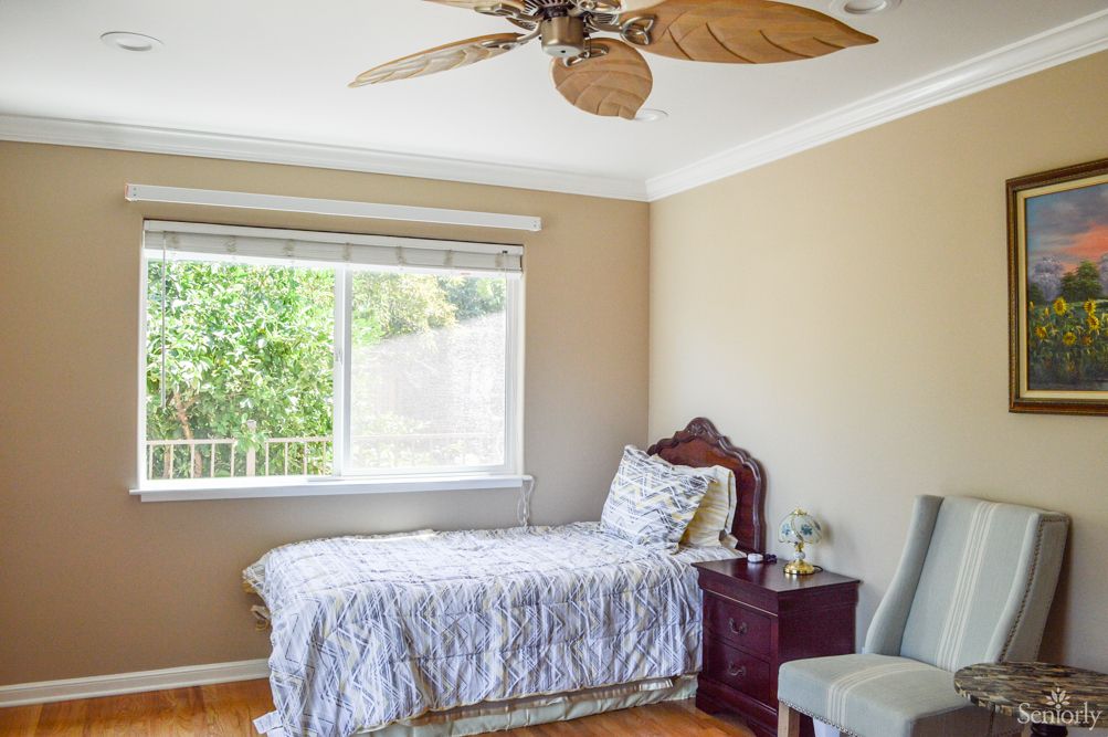 A cozy bedroom with a single bed, natural light streaming through a window, and a ceiling fan overhead.