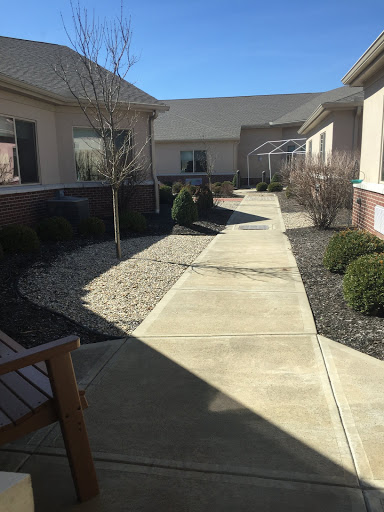 A serene outdoor walkway lined with neatly trimmed shrubs, leading through a landscaped area under a clear blue sky.