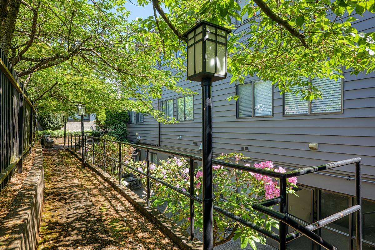A peaceful residential area with a lamp post, surrounded by green trees and casting shadows in the sunlight.