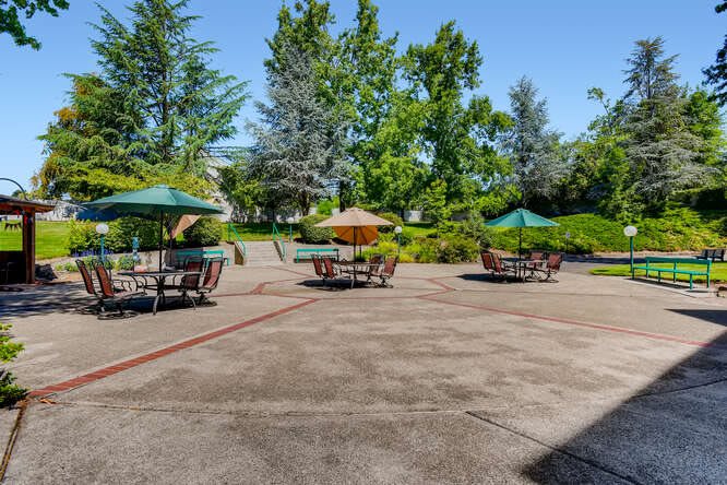 A sunny outdoor patio area with tables and umbrellas surrounded by trees.
