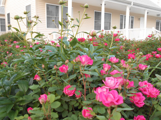 Villa Raffaella Assisted Living Community