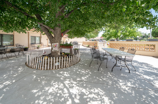 A serene outdoor patio with a large tree providing shade, surrounded by seating for relaxation.