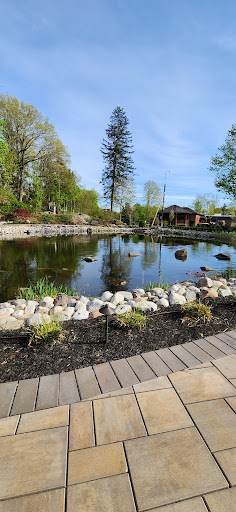 A serene view of a pond surrounded by lush greenery and blooming flowers.