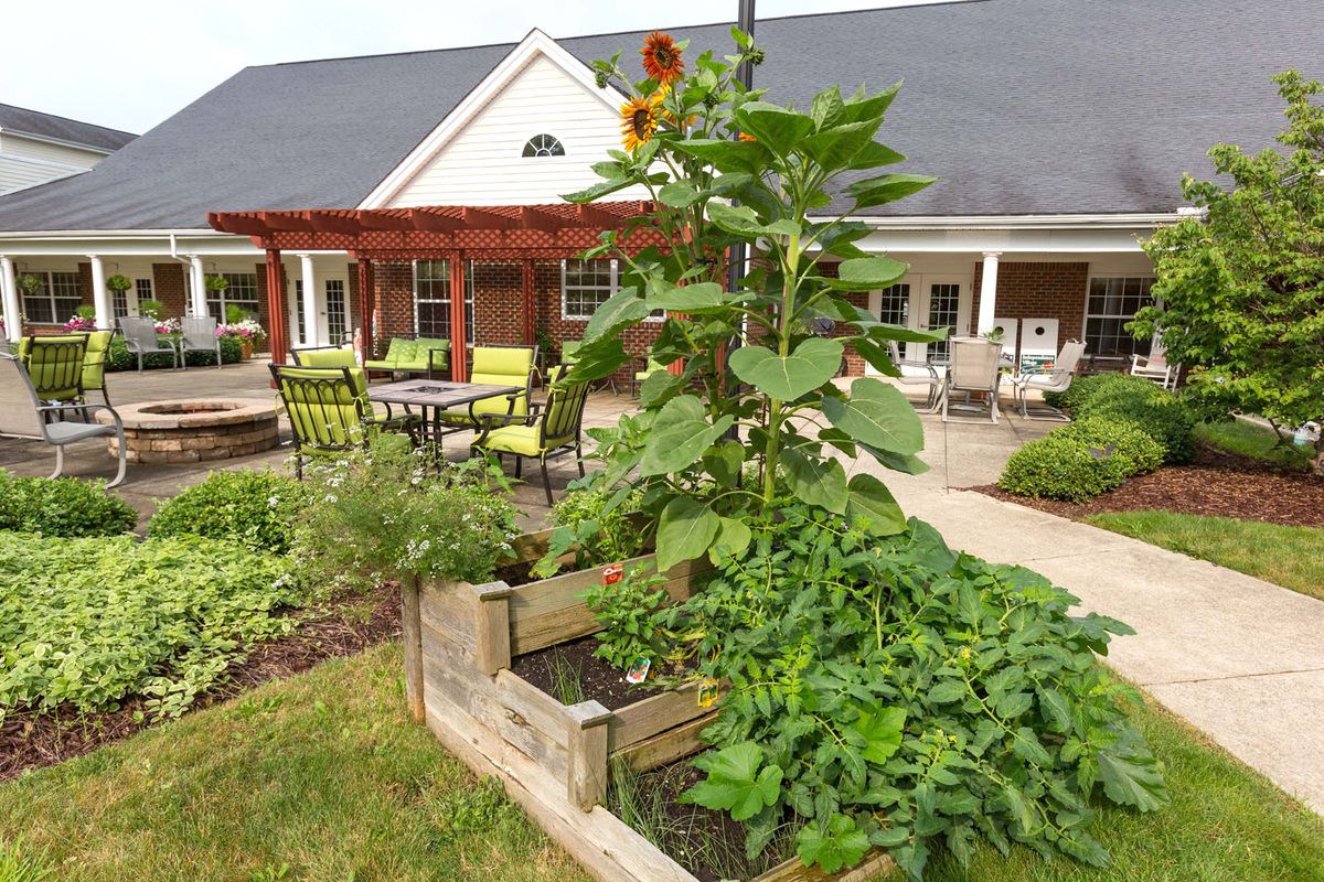 A lush garden with raised beds and a large sunflower, adjacent to a patio with outdoor furniture and a house in the background.