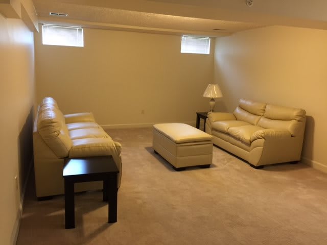 A minimalist basement living room with sofas, a lamp, and a carpeted floor.