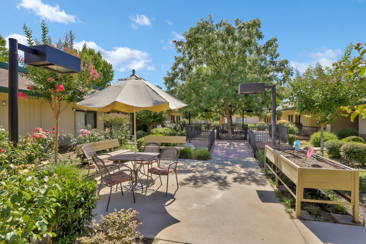 A sunny outdoor patio area with tables, chairs, and umbrellas surrounded by lush greenery.