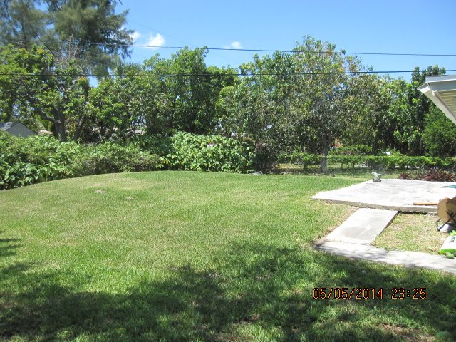 A sunny backyard with a grassy lawn and trees in the background.