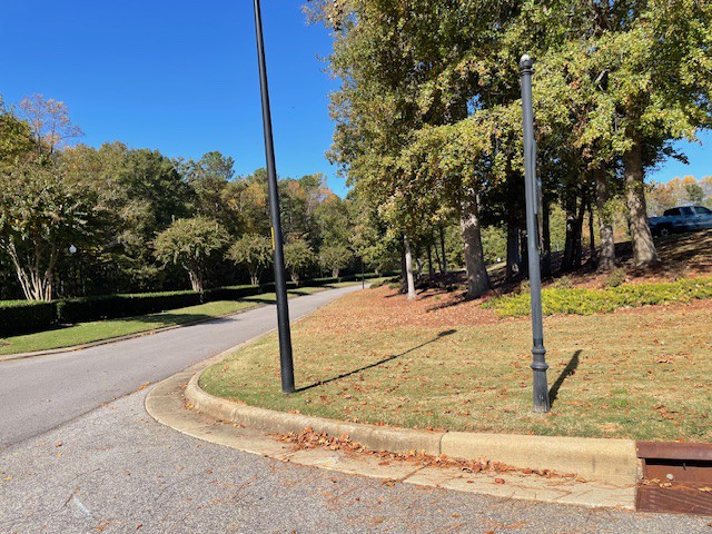 Evergreen at Flowers Plantation