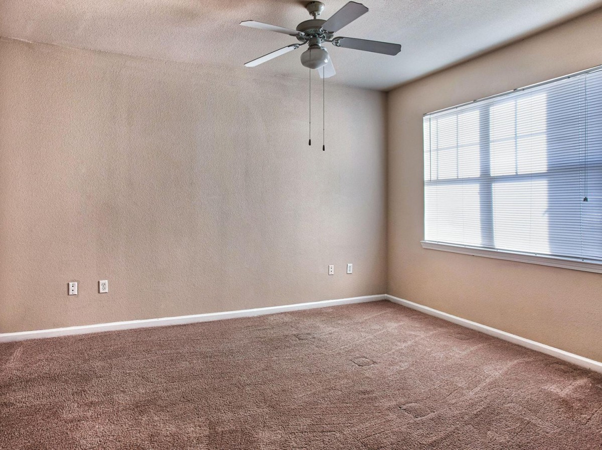 An empty room with carpeted flooring, a ceiling fan, and a window letting in natural light.