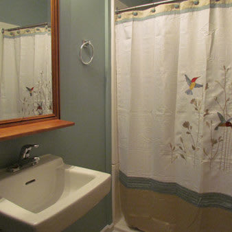 A modern bathroom with a sink, mirror, and floral shower curtain.
