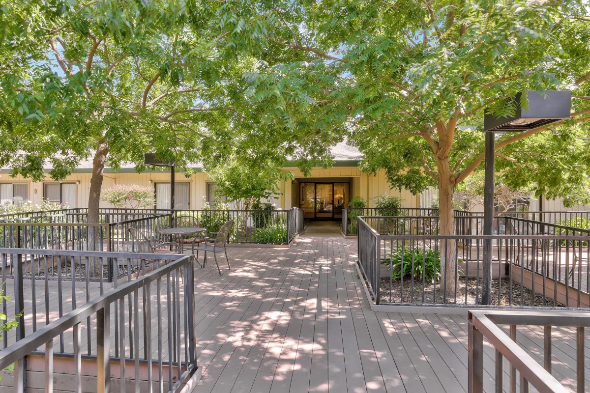 A shaded pathway leading to a building entrance flanked by trees.