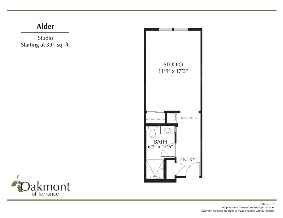 Floor plan of a studio apartment with designated living and bath areas.