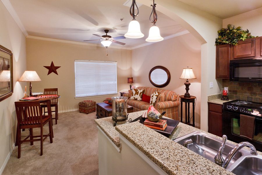 A cozy living room with an open kitchen, featuring a granite countertop and stylish furnishings.