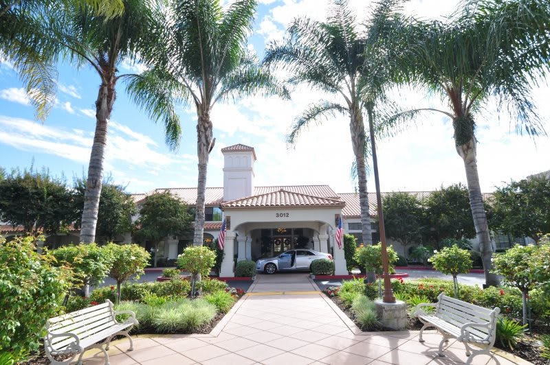 The entrance of a hotel flanked by palm trees and well-maintained landscaping.