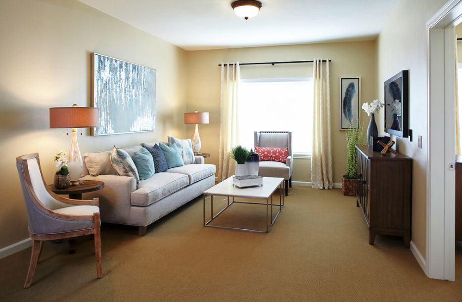 A cozy living room with a comfortable sofa, stylish decor, and natural light streaming through the window.