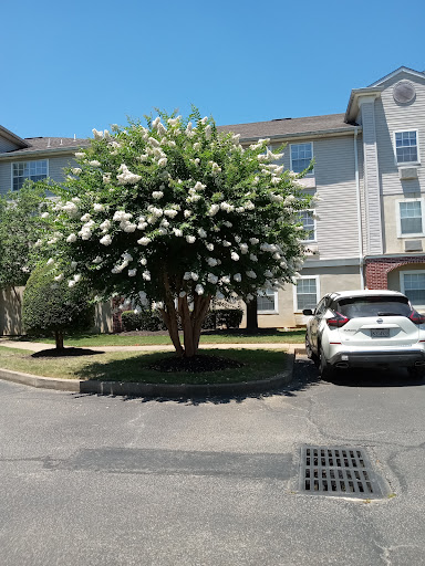 Hickory Hollow Senior Apartments