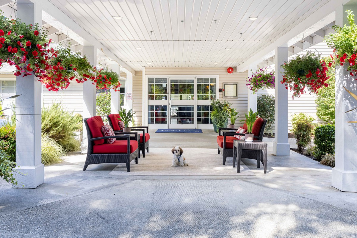 A cozy patio area with red-cushioned chairs and a small dog sitting in the center.
