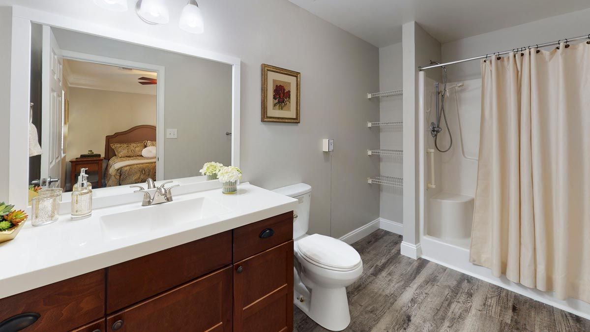 A modern bathroom with a vanity, toilet, and walk-in shower.