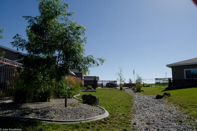 A serene garden landscape with trees, grass, and a gravel pathway under a clear blue sky.