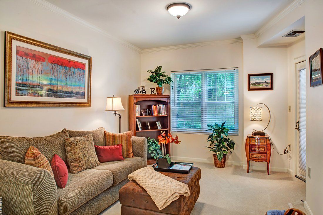 A cozy living room with a comfortable sofa, decorative pillows, a bookcase, and indoor plants.